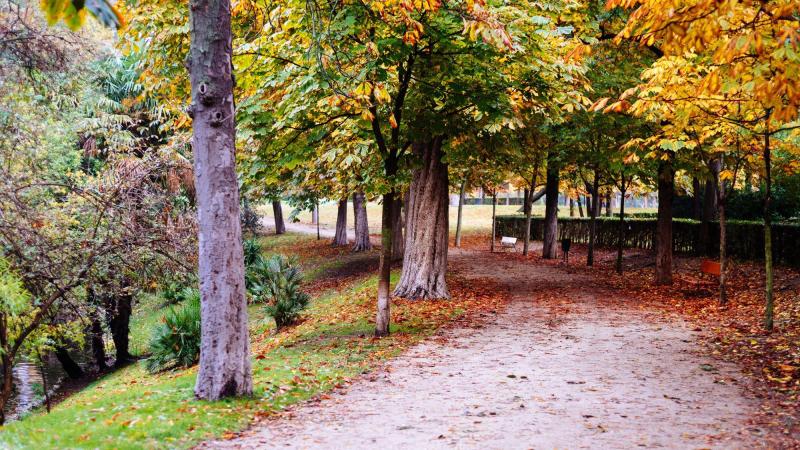 El Parque del Retiro (Madrid), en otoño. Archivo. 