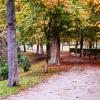 El Parque del Retiro (Madrid), en otoño. Archivo.