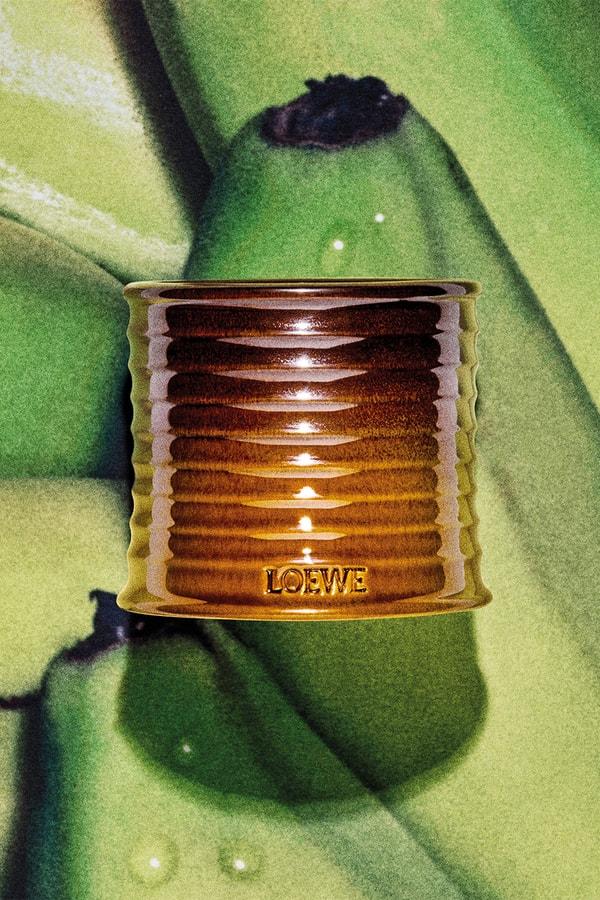 LOEWE 'Banoffee' LOEWE 'Banoffee'