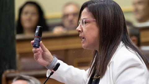 La diputada del PP, Ana Vázquez. EP