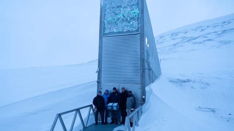 Bóveda Global de Semillas de Svalbard Bóveda Global de Semillas de Svalbard