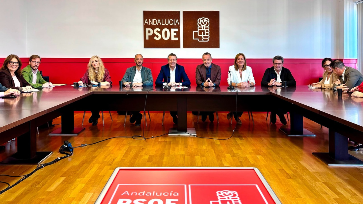 Javier Fernández preside la primera reunión del comité electoral del PSOE de Sevilla para las elecciones generales del próximo 29 de noviembre, junto a los candidatos y candidatas al Congreso y al Senado 