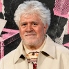 Pedro Almodóvar llama a las urnas.