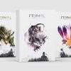 El juego de cartas Primal: Legends