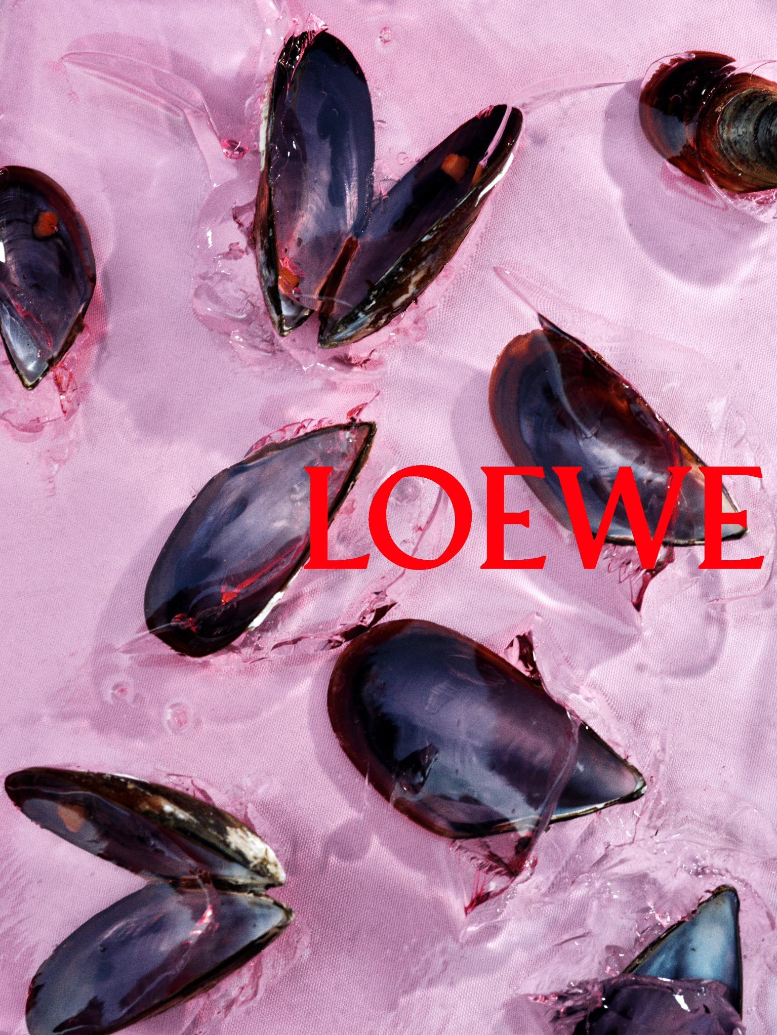 LOEWEPrimaveraVerano2027 1 271026 (5) LOEWEPrimaveraVerano2027 1 271026 (5)