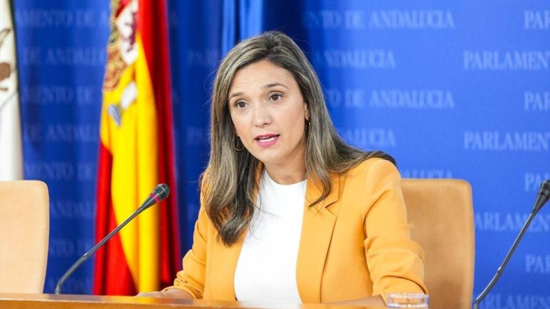 La portavoz del Grupo Parlamentario Socialista, María Márquez / EP