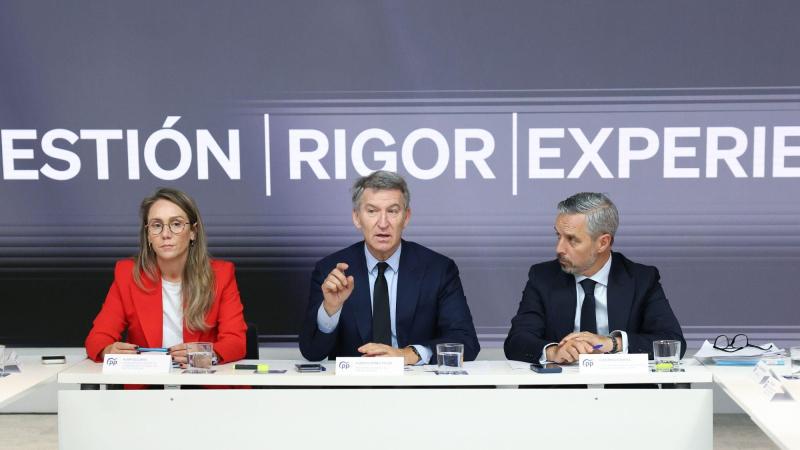 El presidente del Partido Popular, Alberto Núñez Feijóo. EP.