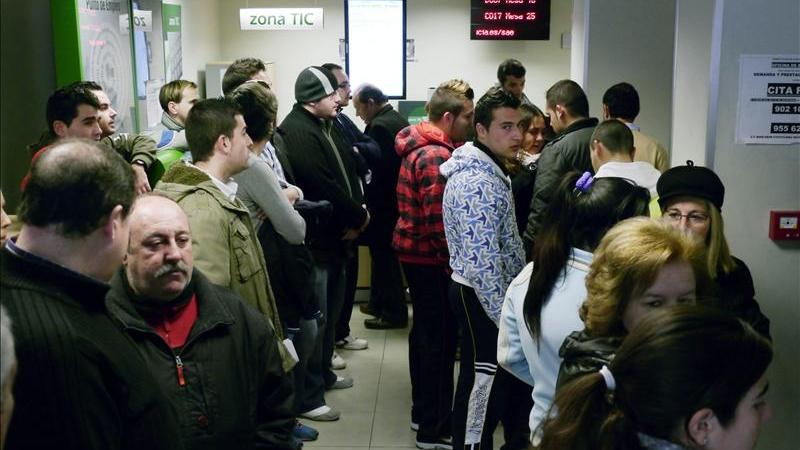 Jaén, con la recogida de la aceituna, acapara el 57% de las nuevas afiliaciones a la Seguridad Social