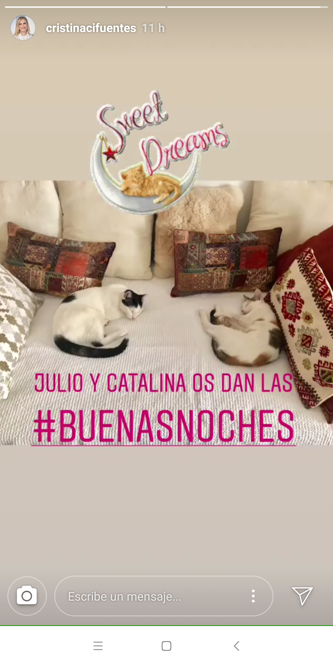 Imagen subida por Cristina Cifuentes con sus gatos a su cuenta de Instagram