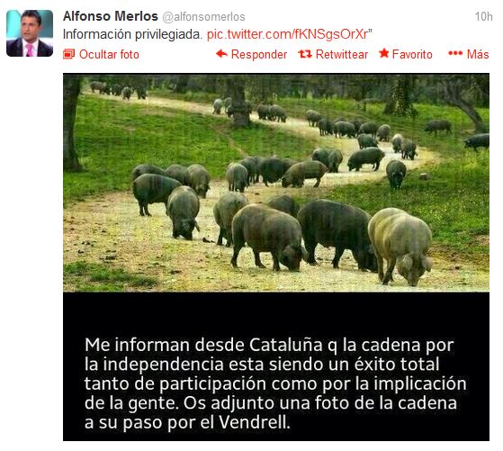 El 'niño mimado' de los obispos carga contra la "gentuza" independentista y difunde imágenes insultantes en Twitter