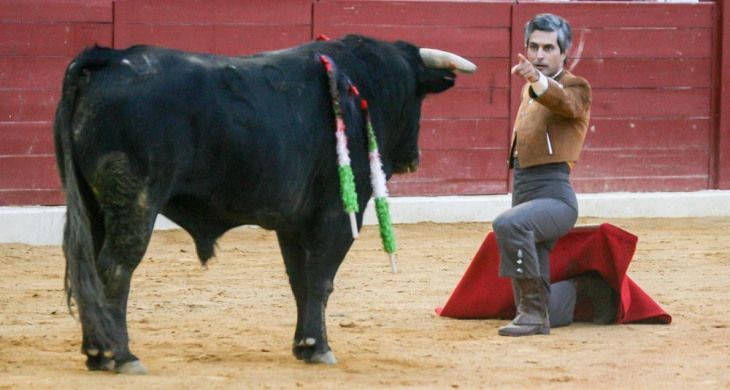 Adolfo Suárez Illana ante un toro.