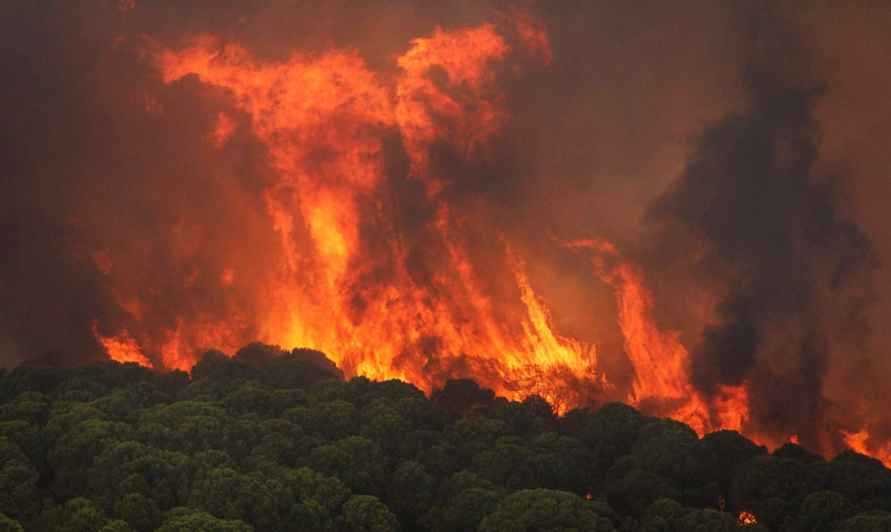 Imagen de anoche del incendio declarado ayer por la tarde en Nerva. EFE