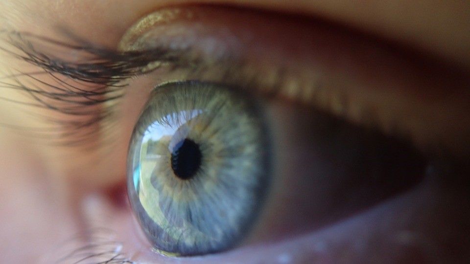Debido a que los ojos son órganos absolutamente importantes es necesario su cuidado integral de manera diaria