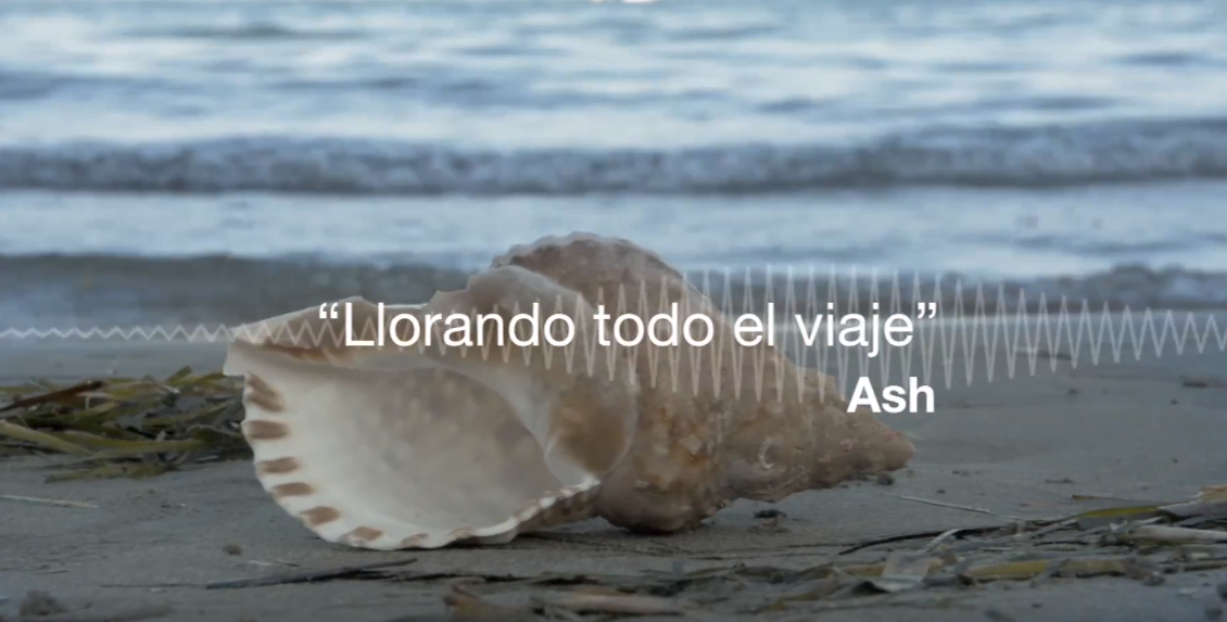 Captura de la campaña "El otro sonido del mar"