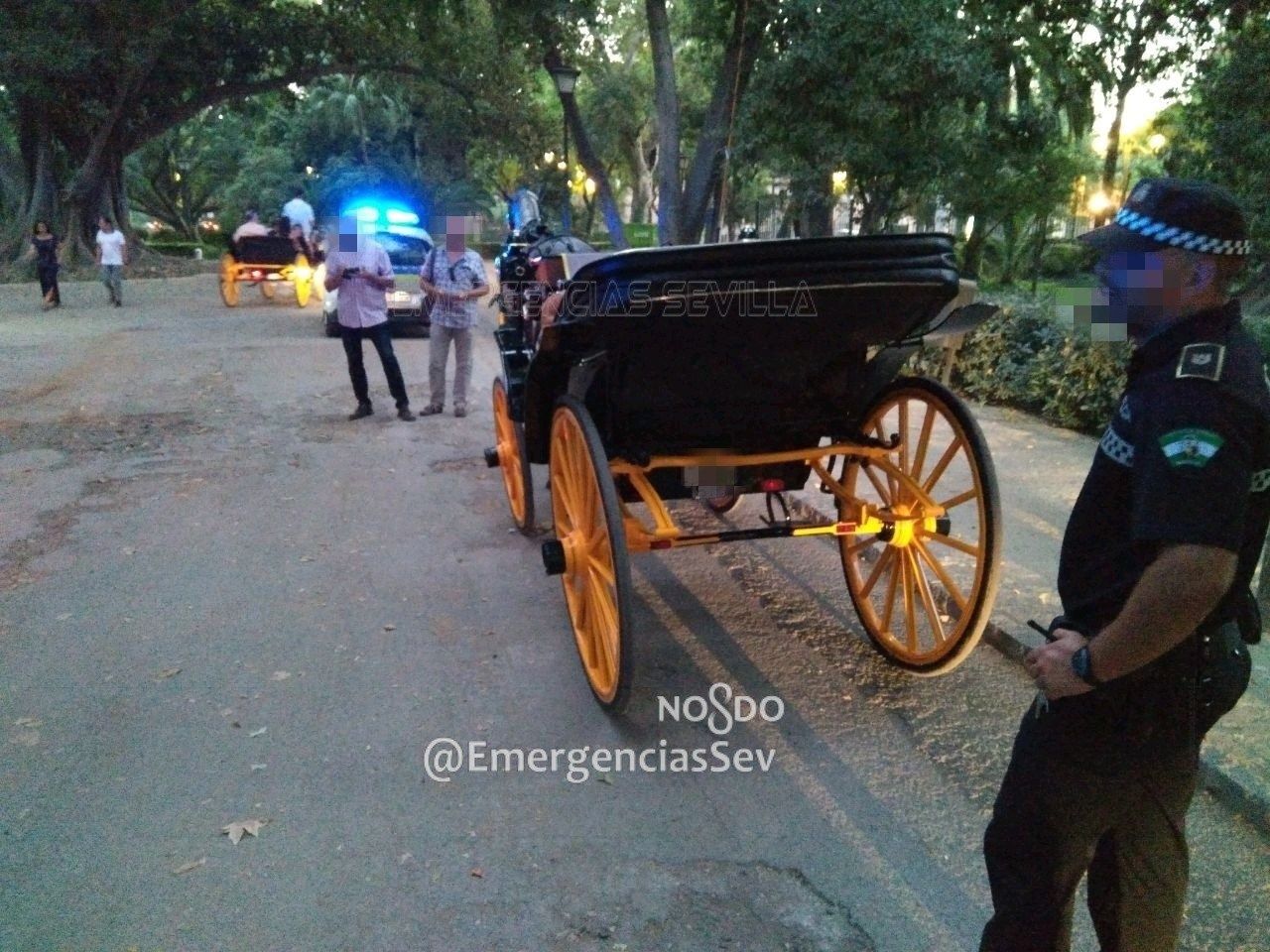 Un coche de caballos en Sevilla.