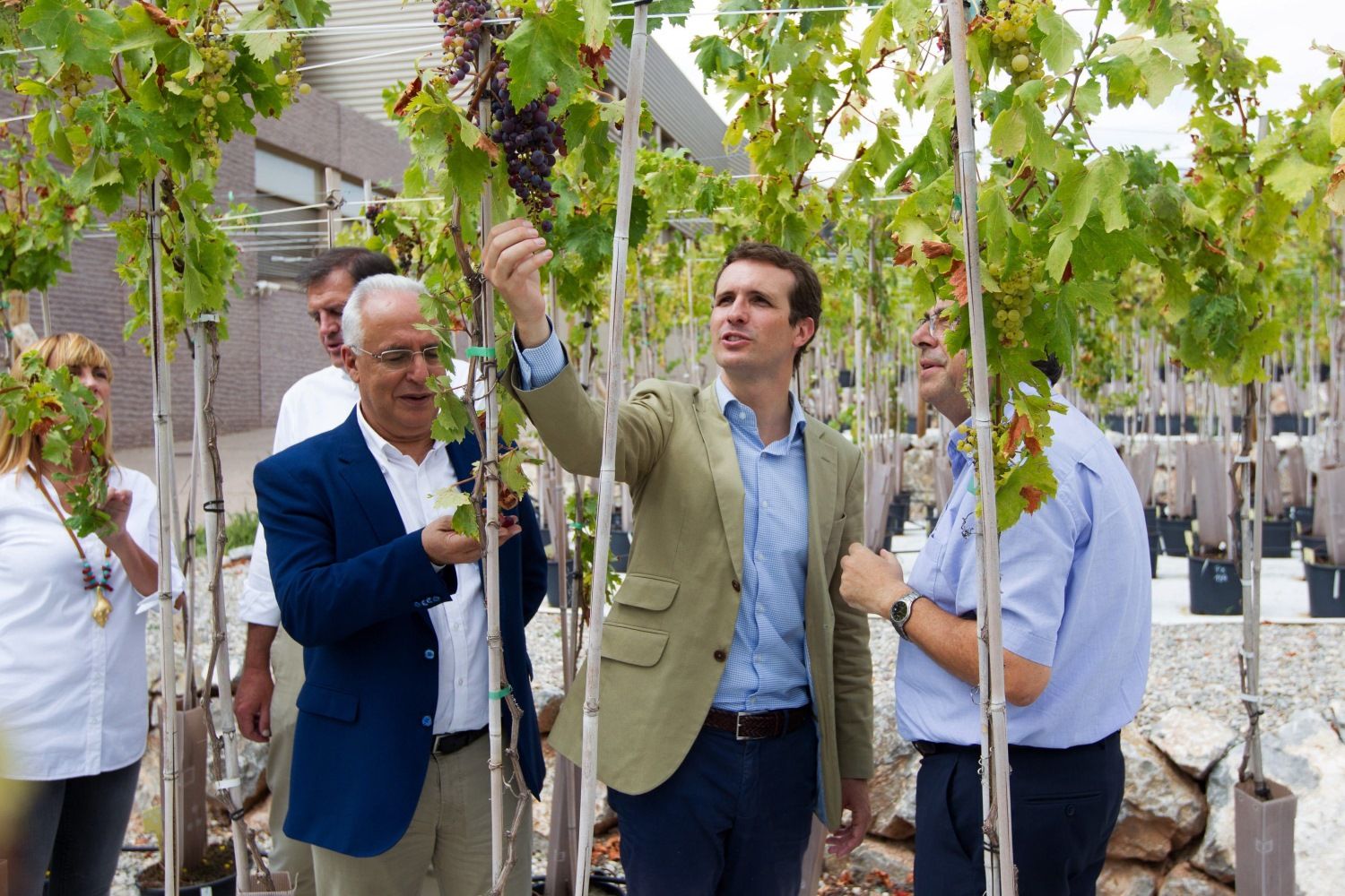 El presidente del PP, Pablo Casado, durante su visita a la bodega institucional del Gobierno de La Rioja - EFE