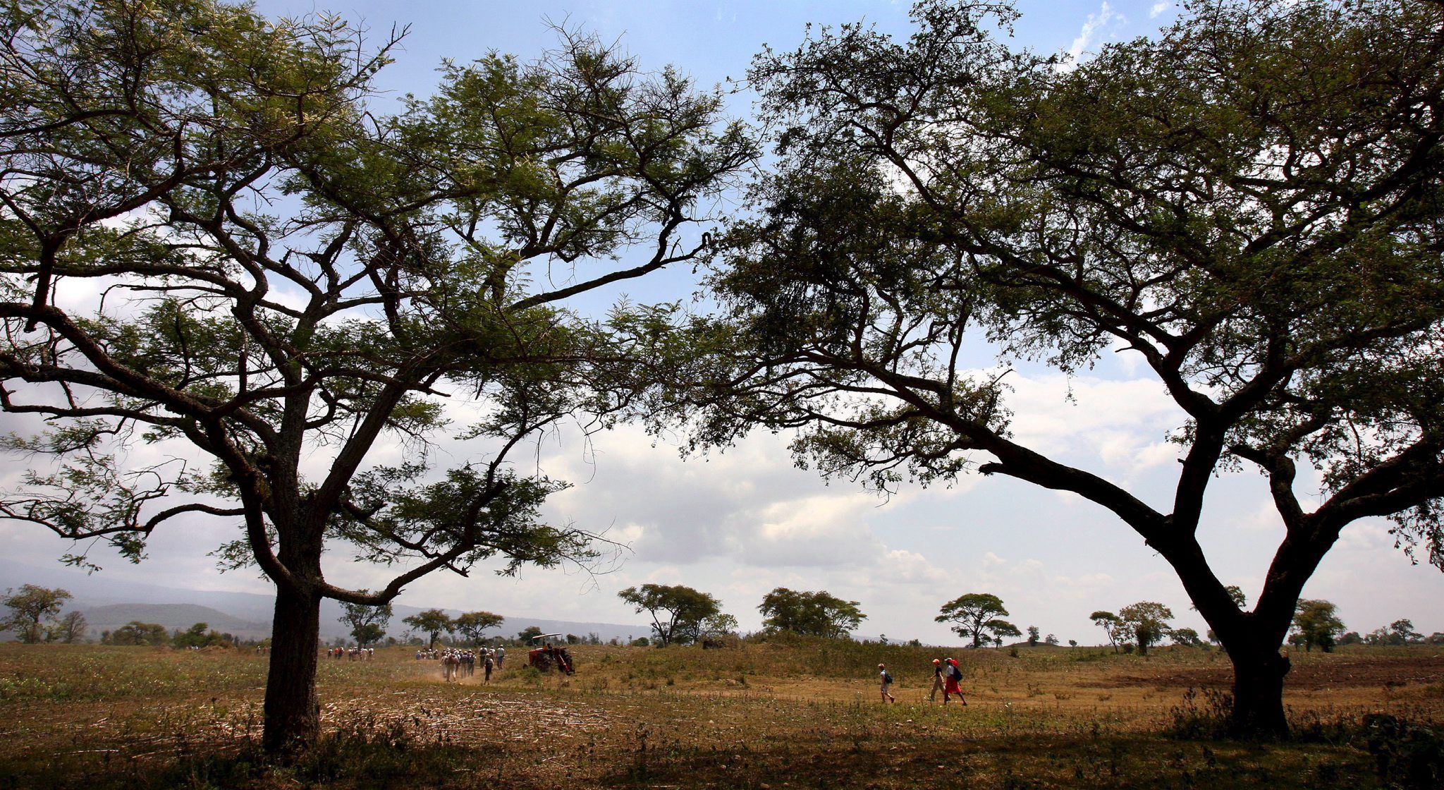 El accidente tuvo lugar en Nanja, una localidad del norte de Tanzania próxima a Arusha y a los turísticos parques nacionales del Serengeti y Maswa. EFE/Archivo El accidente tuvo lugar en Nanja, una localidad del norte de Tanzania próxima a Arusha y a los turísticos parques nacionales del Serengeti y Maswa. EFE/Archivo