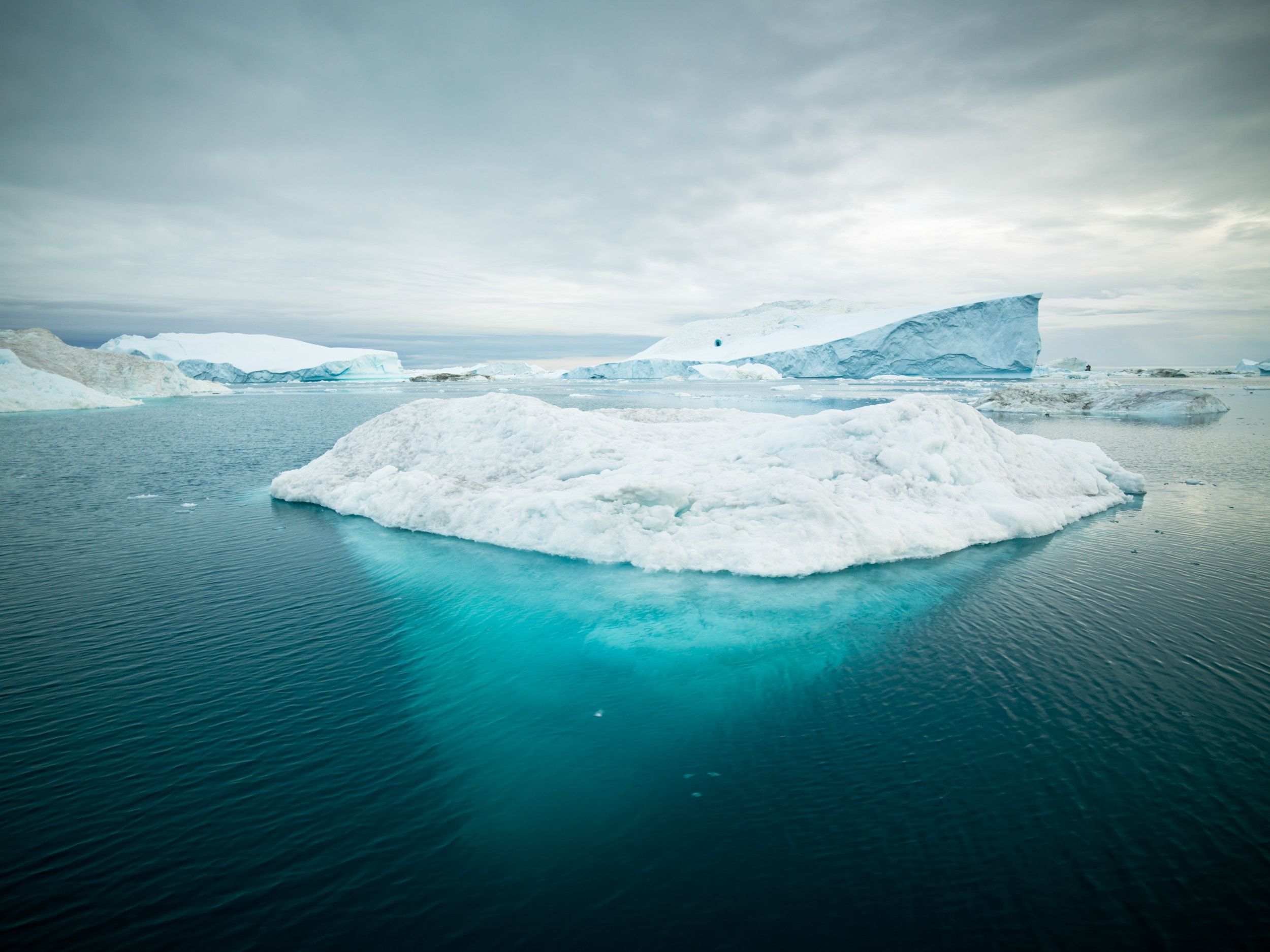 Iceberg frente a las costas de Groenlandia. Foto:Alexander Hafemann en Unsplash