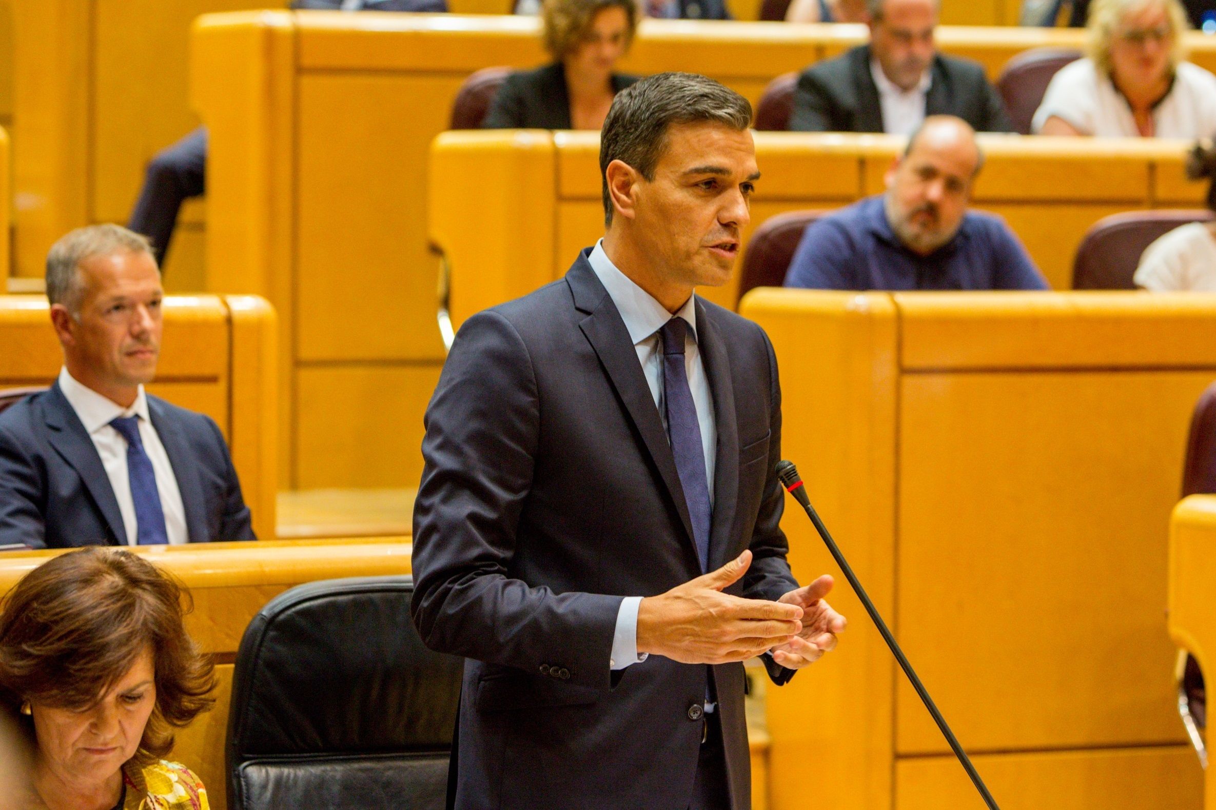 Pedro Sánchez en la sesión de control al Gobierno en el Senado - EuropaPress