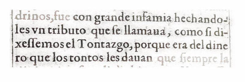 España tenía tal cantidad de impuestos inútiles y tontos, que el escritor Juan Horozco de Covarrubias habló del tributo de “tontazgo”.