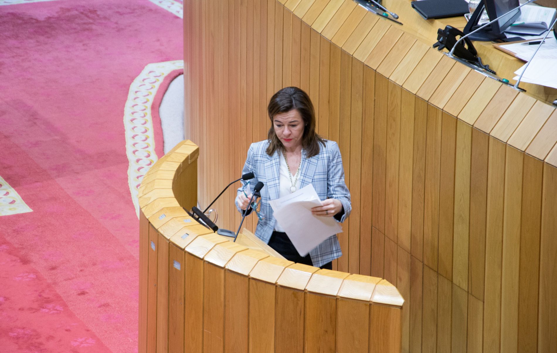 María Ángeles García Mínguez, diputada del PP gallego. Parlamento gallego