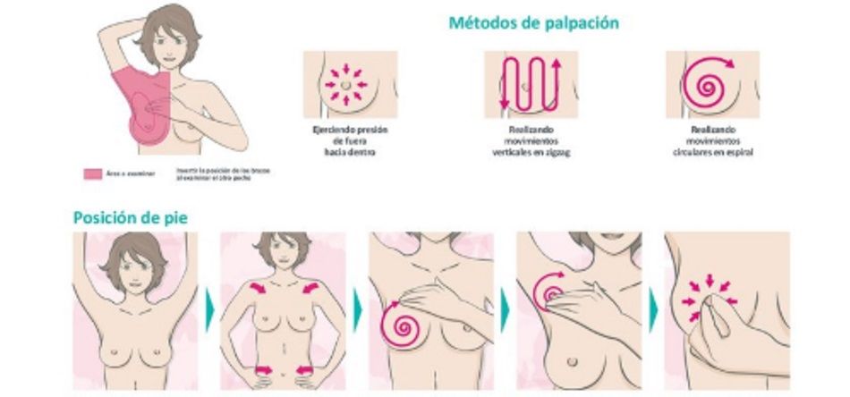 Guía para realizar una autoexploración y prevenir el cáncer de mama. Quirón Salud
