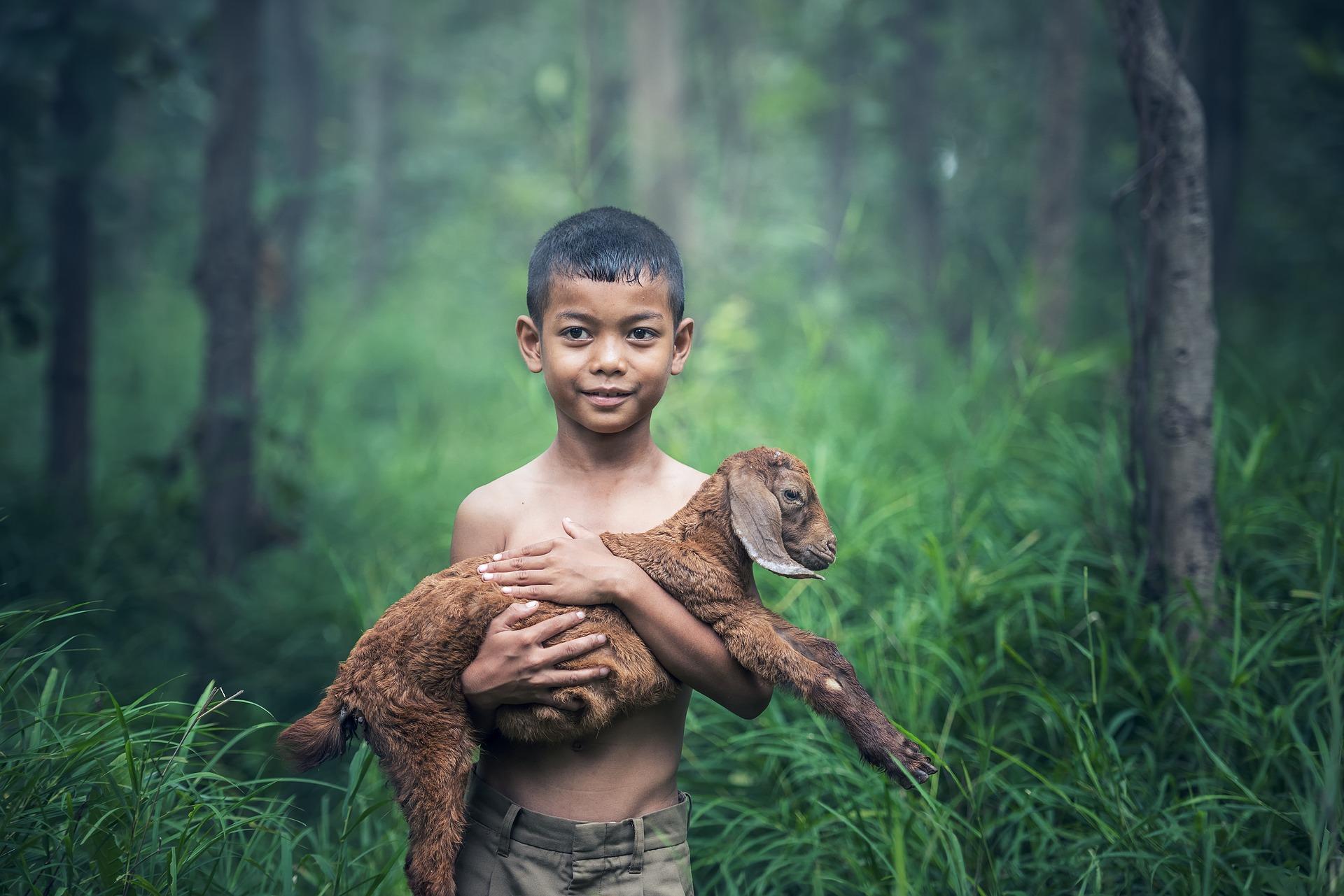 Un niño sostiene una cabra