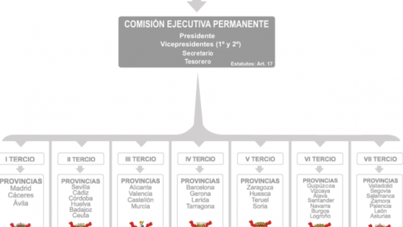 Estructura de la asociación. Reales Tercios de España.