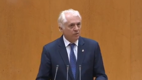 El senador Altava durante un pleno del Senado.
