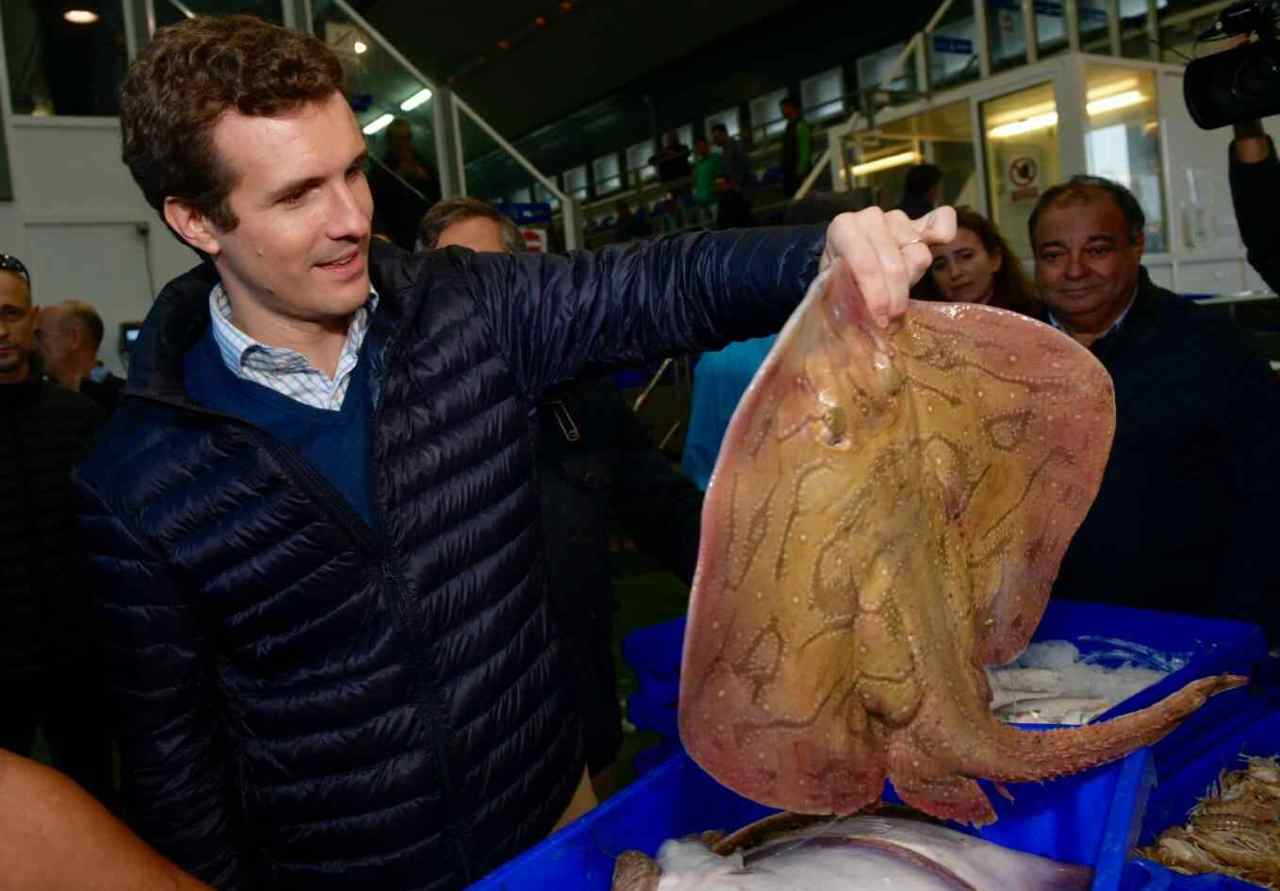 Pablo Casado inspecciona una raya en un mercado onubense - Flickr PP