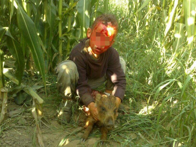 Un niño en una cacería. PACMA Un niño en una cacería. PACMA