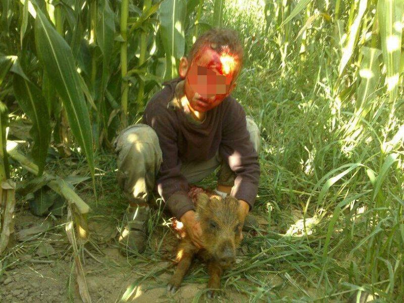 Un niño en una cacería. PACMA