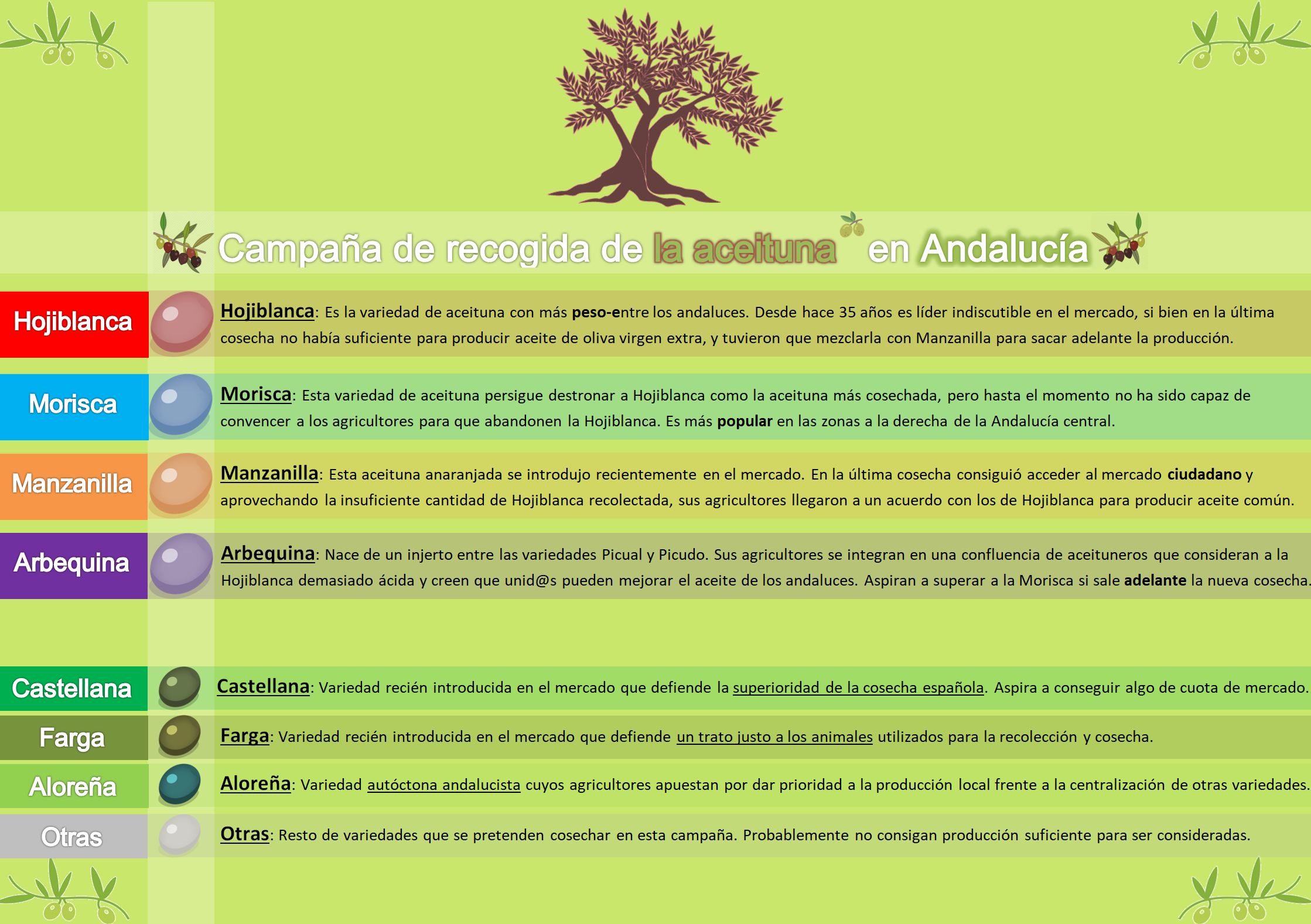 Cuadro con la variedad de aceitunas. Electomania Cuadro con la variedad de aceitunas. Electomania