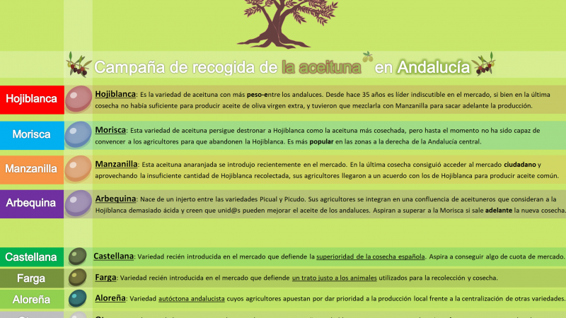 Cuadro con la variedad de aceitunas. Electomania Cuadro con la variedad de aceitunas. Electomania
