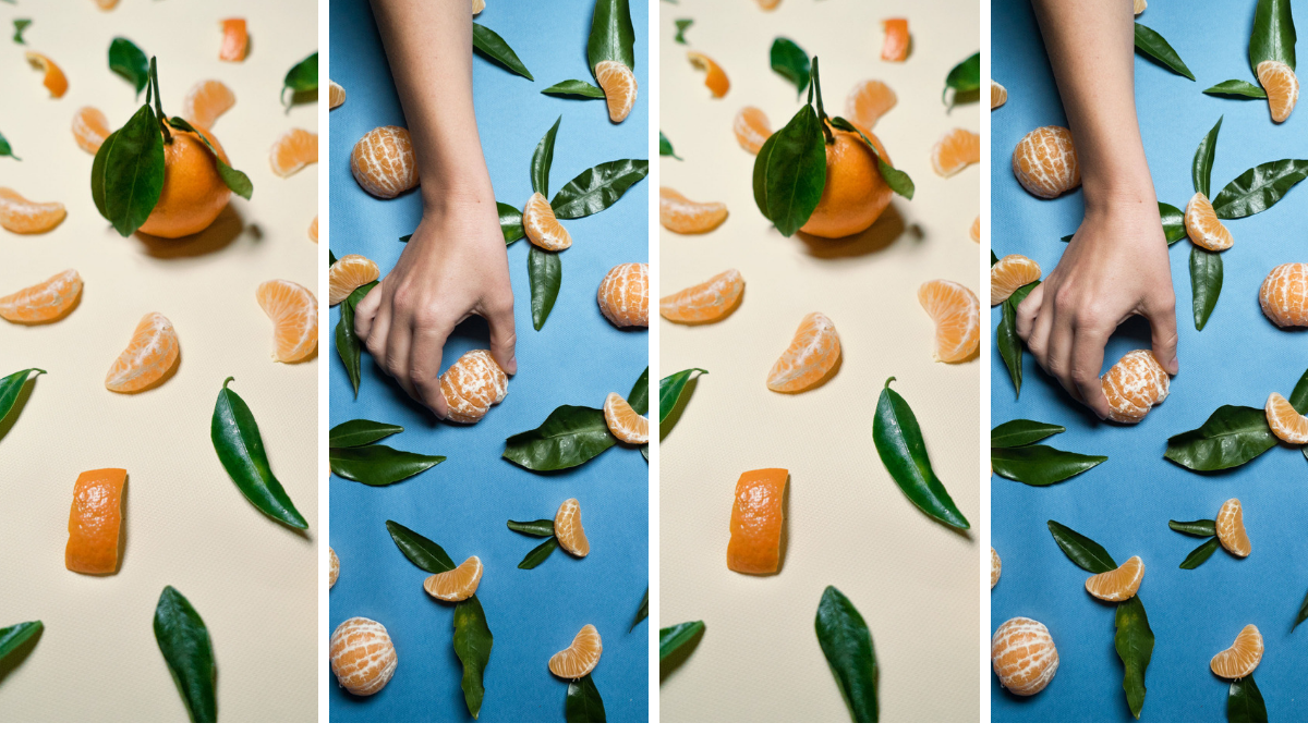 Un grupo de voluntarios ha recogido mandarinas desechadas para el comercio por razones estéticas