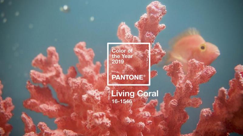 pantone color of the year 2019 - Fuente: Pantone