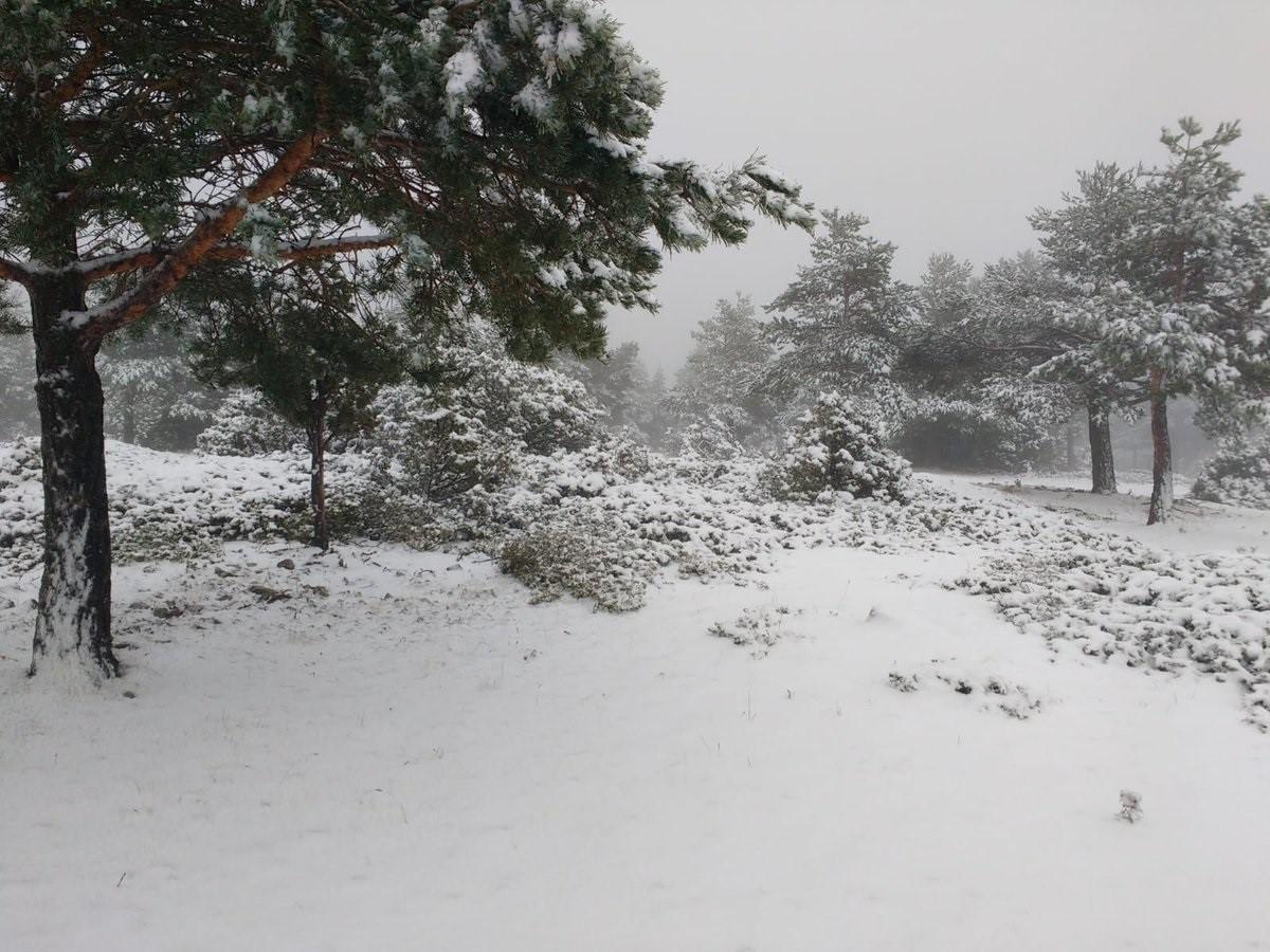 La primera nevada de la temporada llega a la Puebla de San Miguel (Valencia)