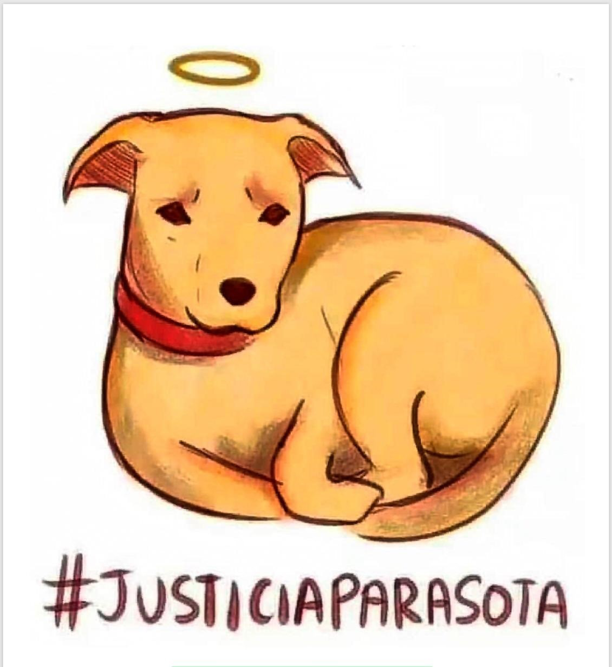 Miles de personas piden Justicia tras la muerte del perro Sota en Barcelona