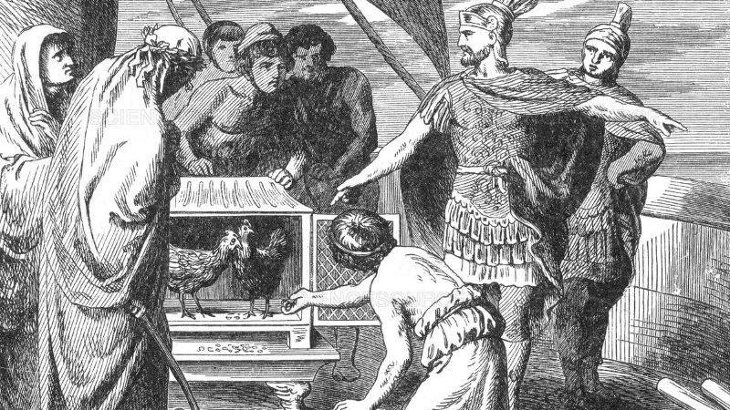 Al final en la batalla de Drepano los romanos perdieron, así que ya saben. Tirar gallinas al mar, además de estar feo trae mala suerte. Al final en la batalla de Drepano los romanos perdieron, así que ya saben. Tirar gallinas al mar, además de estar feo trae mala suerte.