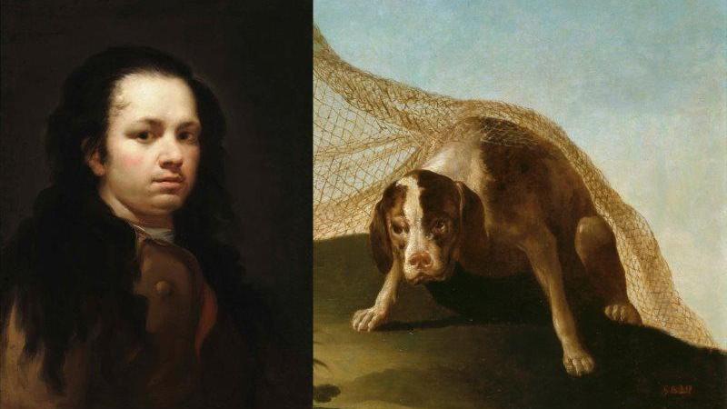 Pese a las malas condiciones en las que le llegó el perro, Goya depositó grandes esperanzas en el “pero conozco que es un gran perro y te doy mil setenta y tres gracias” le dijo a su amigo Martin Zapater. Pese a las malas condiciones en las que le llegó el perro, Goya depositó grandes esperanzas en el “pero conozco que es un gran perro y te doy mil setenta y tres gracias” le dijo a su amigo Martin Zapater.