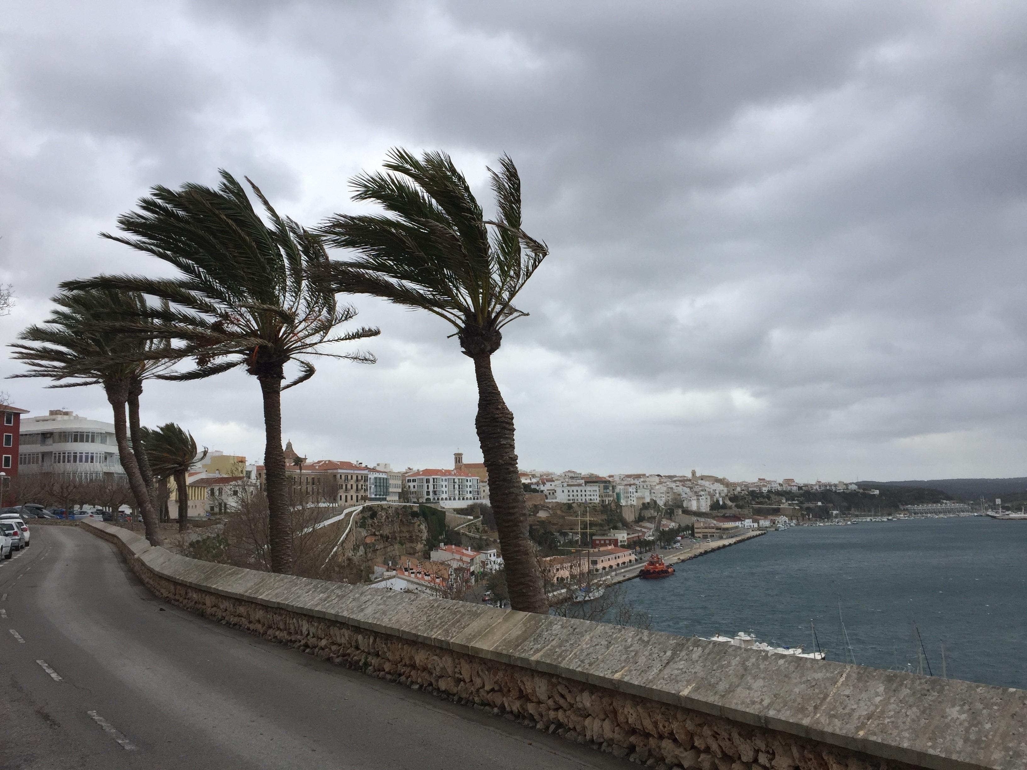 Olas en Menorca, viento, palmeras, playa. EP