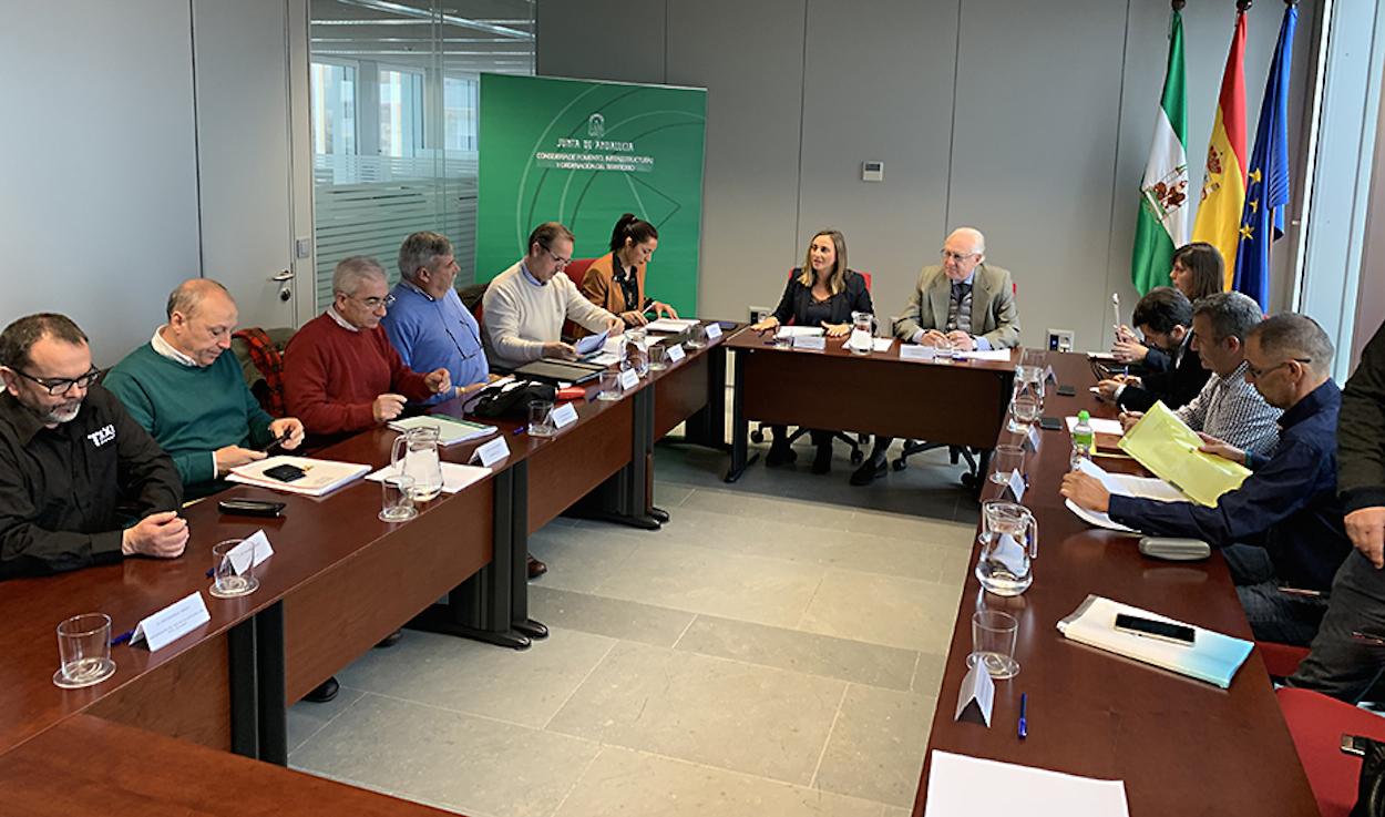 Reunión de ayer de la consejera de Fomento, Marifrán Carazo, con los taxistas. JUNA DE ANDALUCÍA