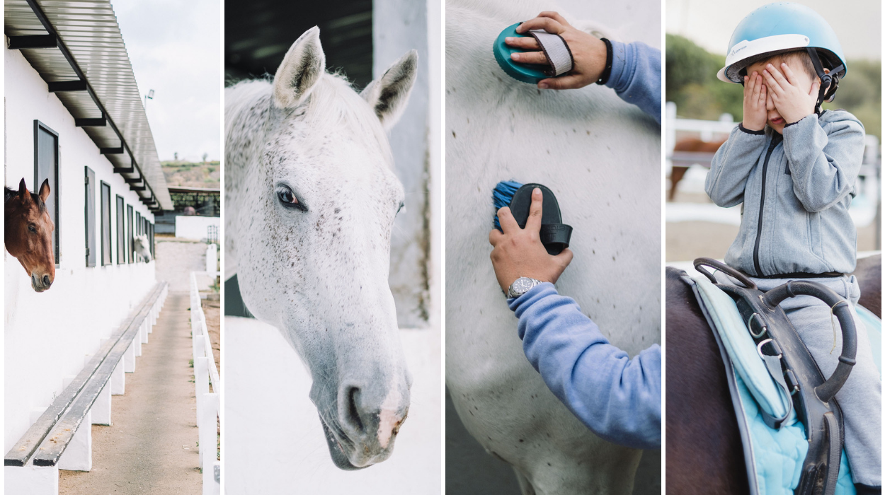 Las intervenciones asistidas con caballos se utilizan ampliamente en el mundo occidental como terapia complementaria para promover la rehabilitación neuromuscular, psicológica, cognitiva y social de niños y adultos