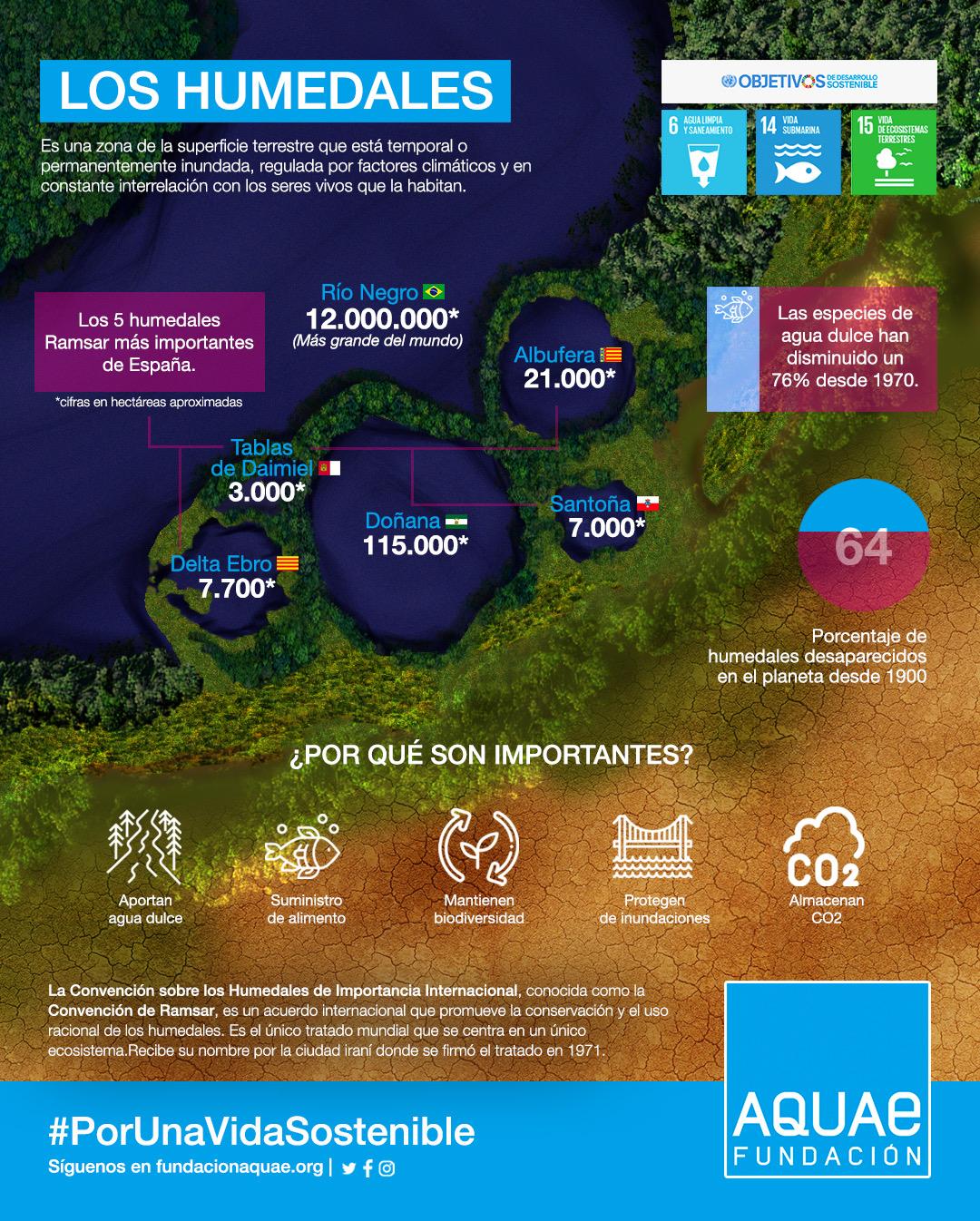 Humedales Infografía Fundación Aquae