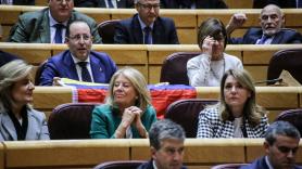 Bancada del Partido Popular en el Senado con los senadores. EP
