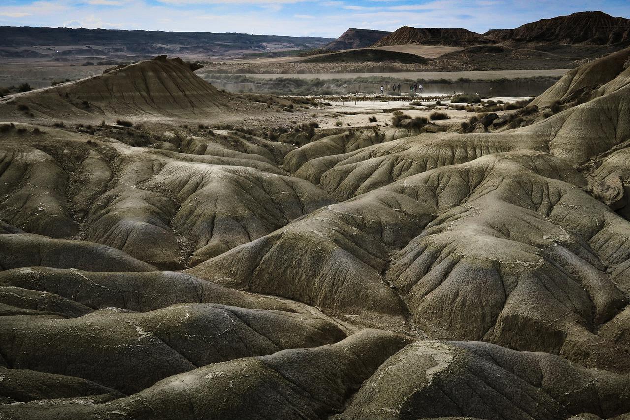 Bárdenas reales