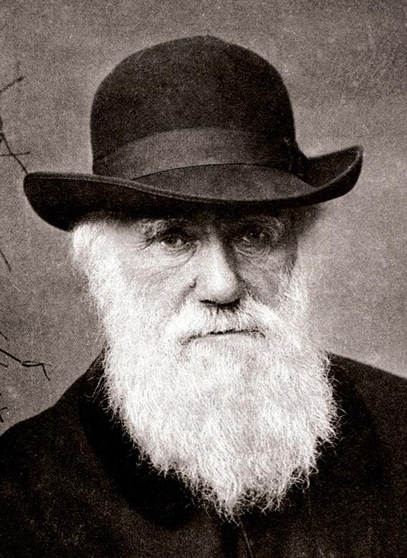 Charles Darwin, 1880