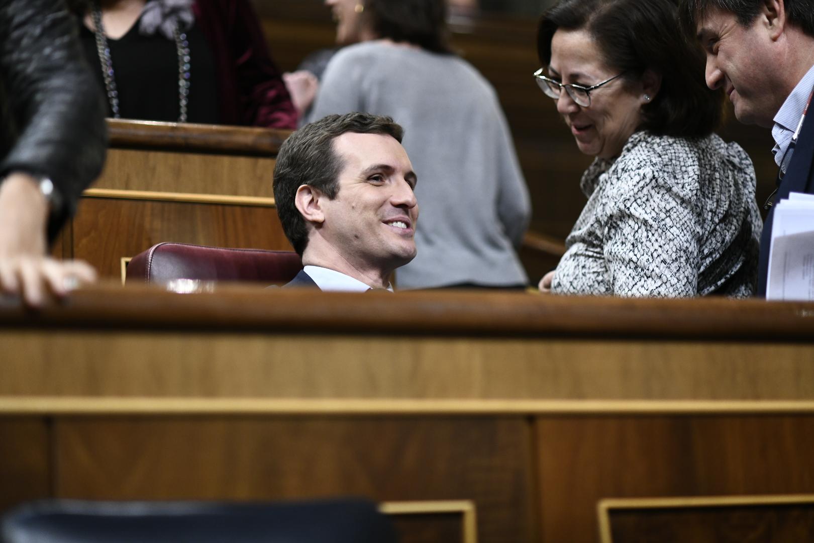 El presidente del PP Pablo Casado sonríe durante la sesión plenaria en la que se vota el proyecto del Gobierno de los Presupuestos Generales del Estado (PGE) para 2019 