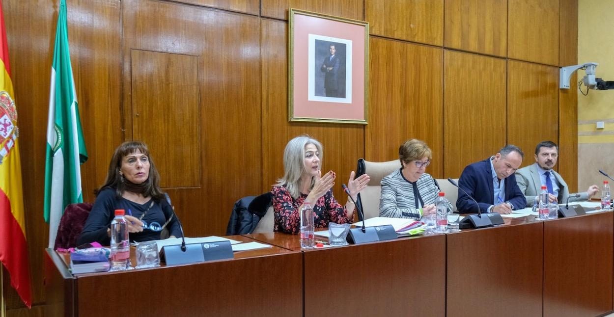 La consejera Patricia del Pozo, ayer en la Comisión de Cultura. A su izquierda, la diputada de Vox Ana Gil.