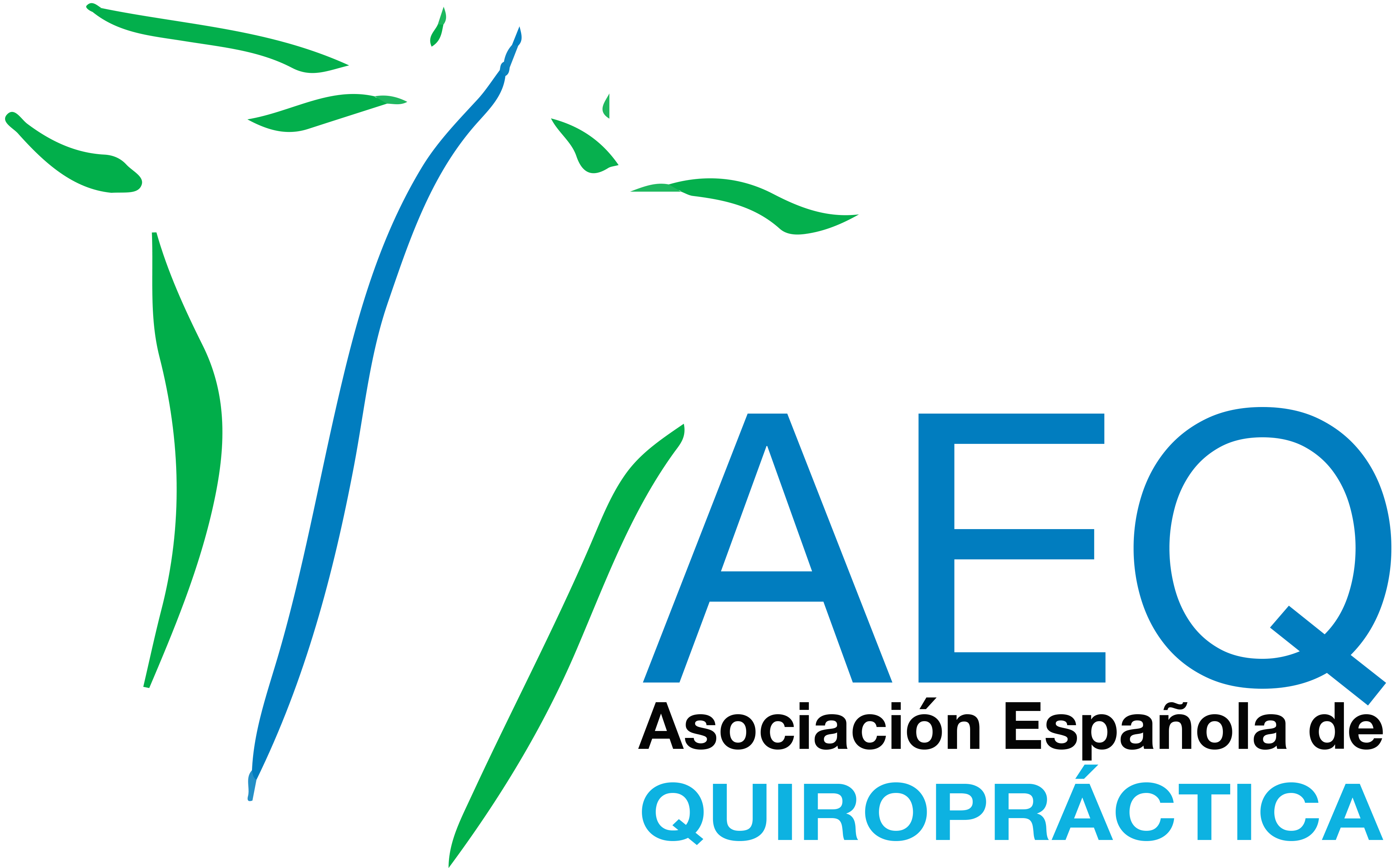 Asociación Española de Quiroprácticos (AEQ)